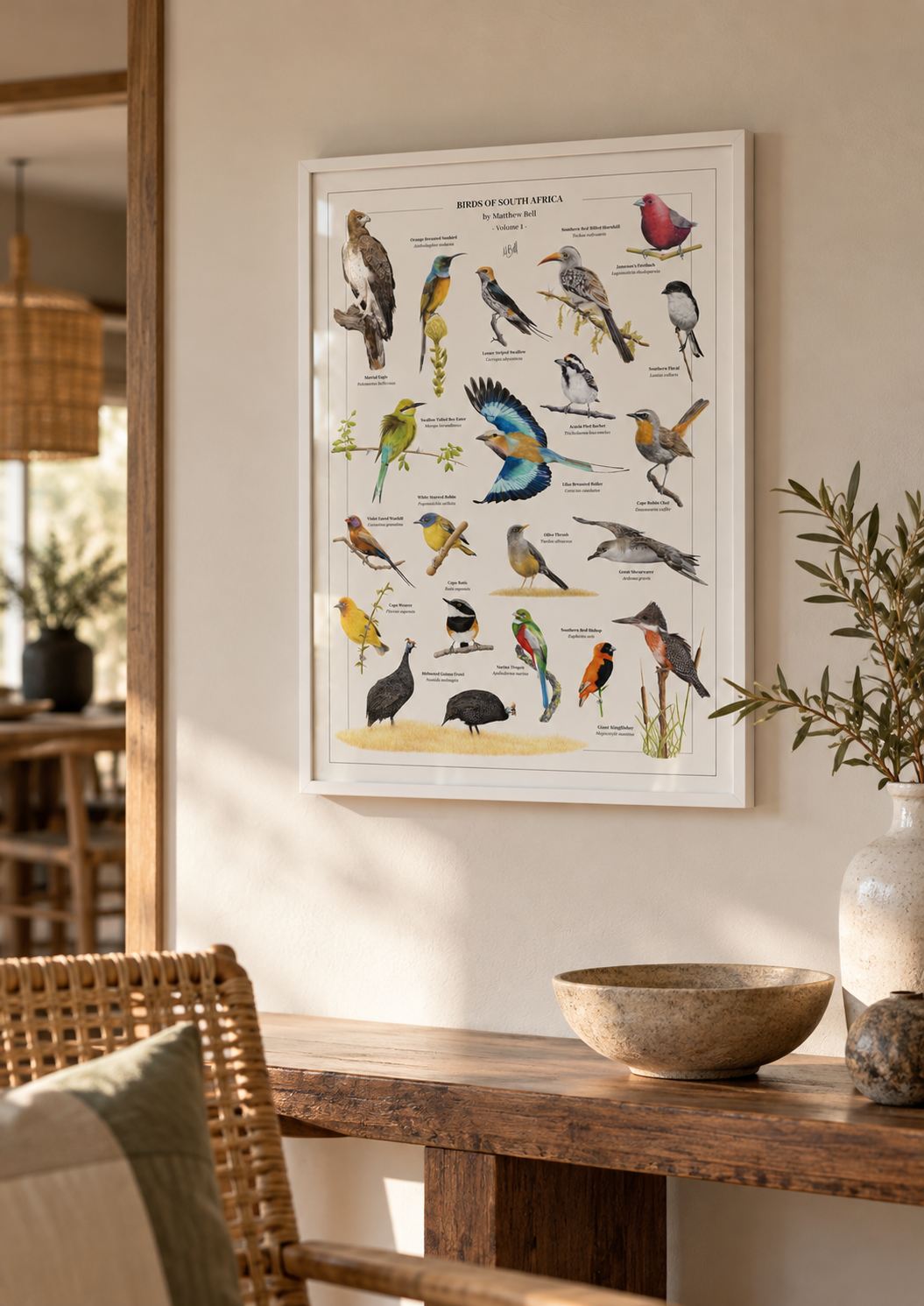 A framed South African bird illustration poster by Matthew Bell hanging on a beige wall in a styled interior with a wooden table, bowl, vase, and woven chair visible.