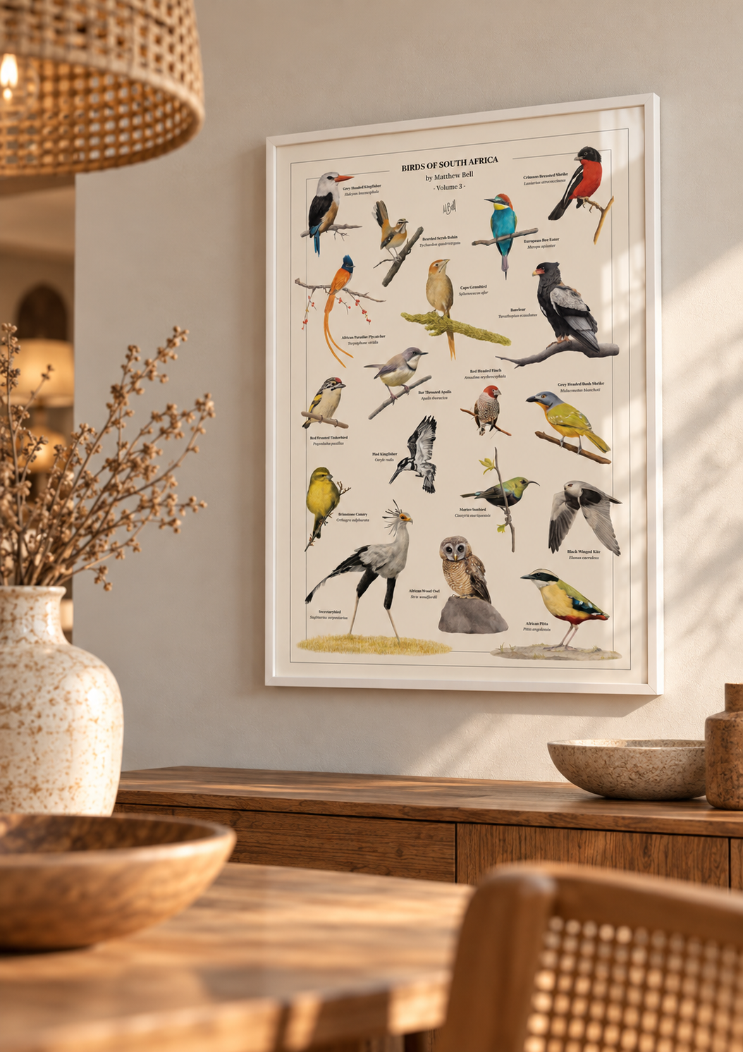 A framed vintage-style bird poster by Matthew Bell  hangs on a beige wall in a warm, modern dining room setting. The white-framed print features detailed illustrations of various birds from South Africa, including a red bird, a blue bird, a yellow bird, and an owl, with labels and a scale bar.
