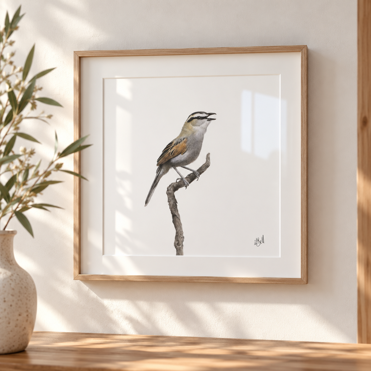 A framed bird art print featuring a detailed illustration of a Black Crowned Tchagra perched on a branch, displayed on a wooden surface against a warm off-white wall with soft window light and a vase of greenery in the foreground.