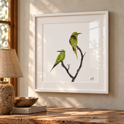 Framed Blue-cheeked Bee-eaters fine art print by Matthew Bell, featuring two colourful South African birds in a white box frame.