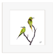 Art print of two Blue Cheeked Bee Eaters perched on a branch with a white border.