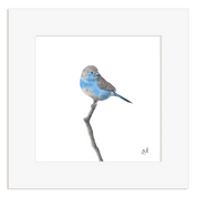 Framed artwork of a Blue Waxbill perched on a branch.