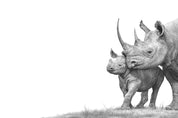 African black rhinos pencil artwork with black wooden frame