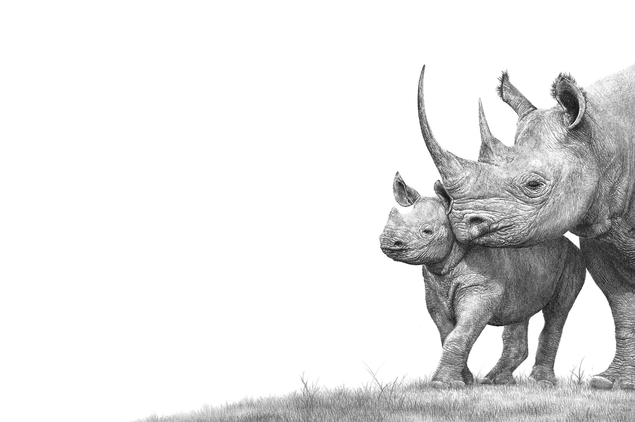 African black rhinos pencil artwork with black wooden frame