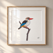 Framed pencil art print of a brown hooded kingfisher perched on a branch, displayed on a light beige wall with soft window shadows. The print features a natural wood frame and white matting.