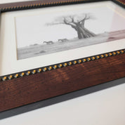 Artwork of an African Baobab Tree and Zebras with a wooden frame, by famous wildlife nature artist Matthew Bell