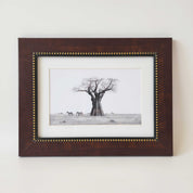 Artwork of an African Baobab Tree and Zebras with a wooden frame, by famous wildlife nature artist Matthew Bell