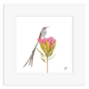 Framed artwork of a bird perched on a pink flower with green leaves.