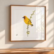 Framed wall art featuring a Cape Weaver perched on a green stem, displayed on a light wall above a wooden surface with soft window shadows.