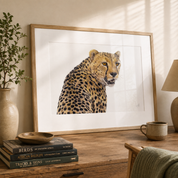 Cheetah portrait drawing by South African wildlife artist Matthew Bell
