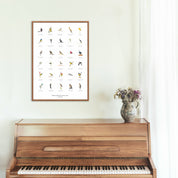 A collection of South African birds large poster print with many different species