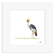 Framed artwork of a Crowned Crane with a white background