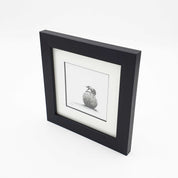 Framed dung beetle South African artwork