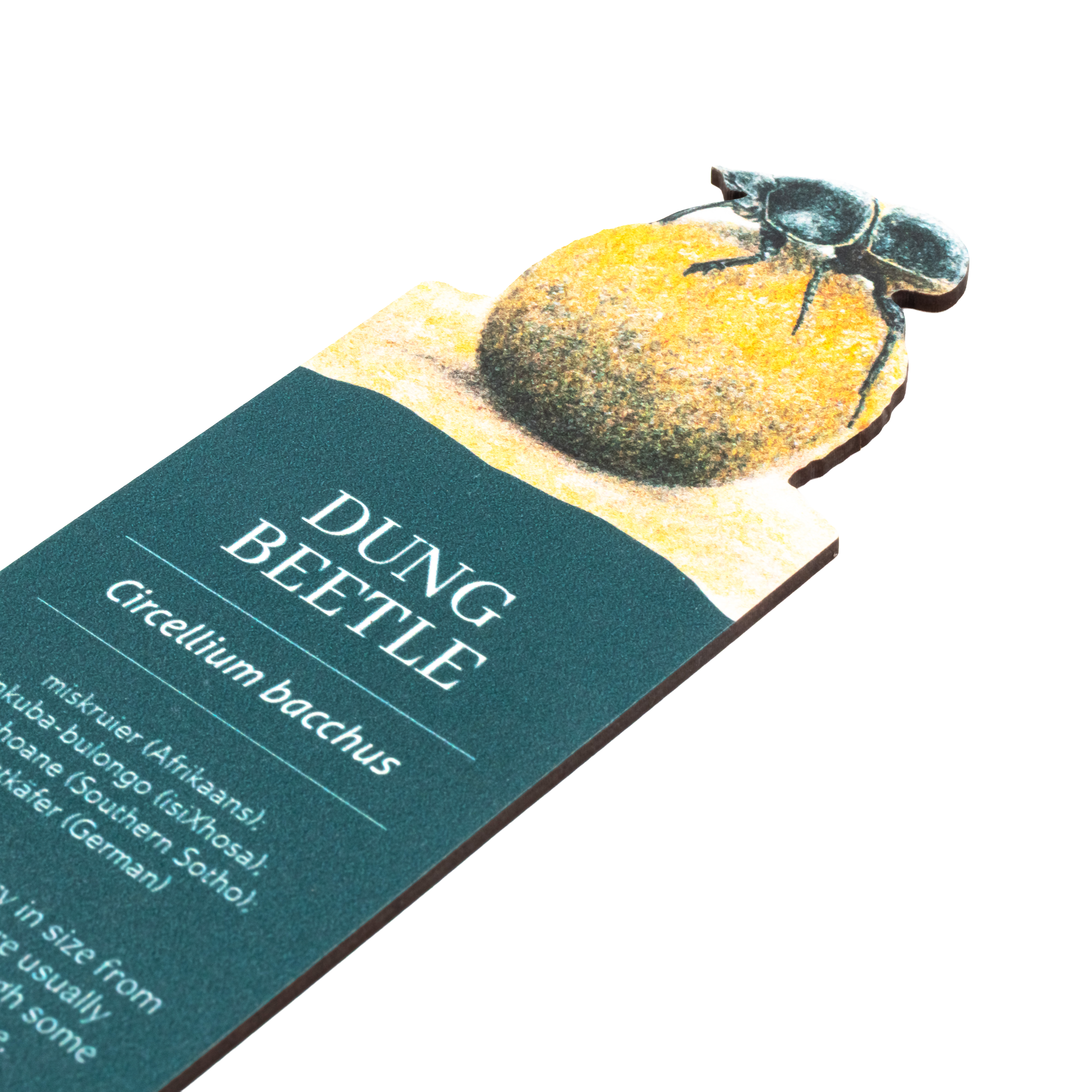 Dung Beetle Wooden Bookmark
