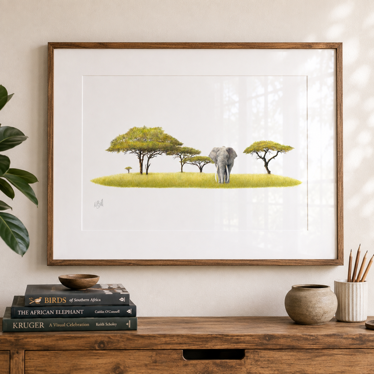Pencil drawing print by Matthew Bell of an elephant and acacia trees framed in a kiaat frame and hanging on the wall