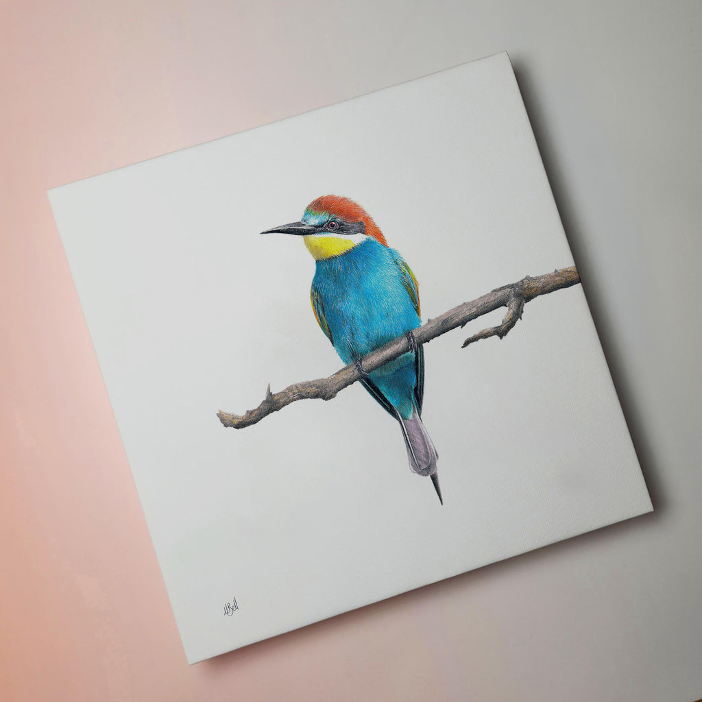 European Bee Eater bird artwork drawing on canvas