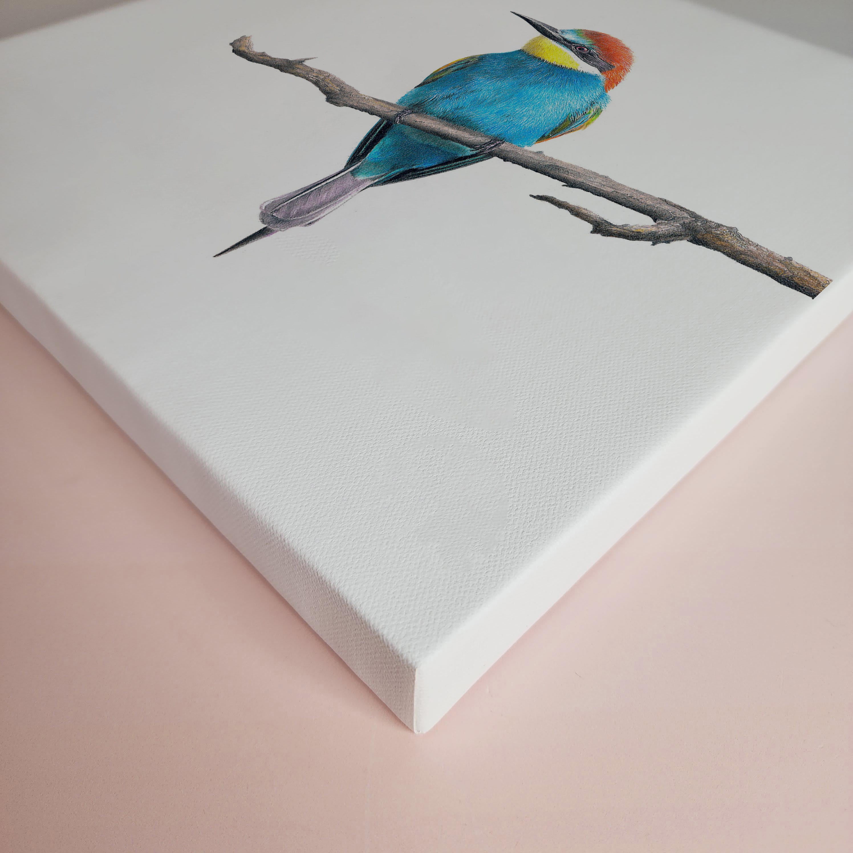 European Bee Eater bird artwork drawing on canvas