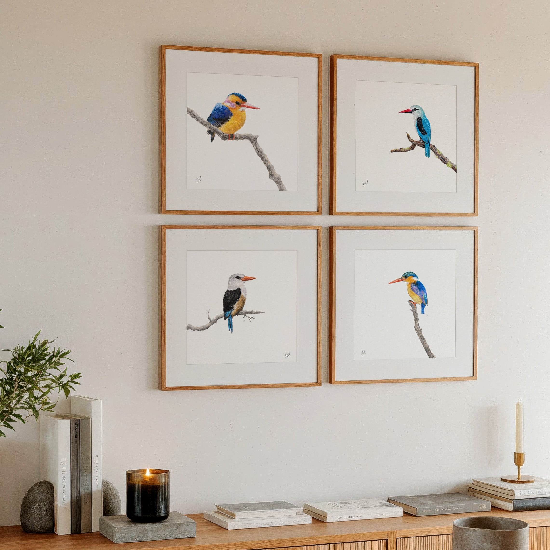 Gallery wall display of four South African Kingfisher drawings including African Pygmy Kingfisher, Woodland Kingfisher, Grey Headed Kingfisher and Malachite Kingfisher, all framed with Kiaat frames and hanging on the wall