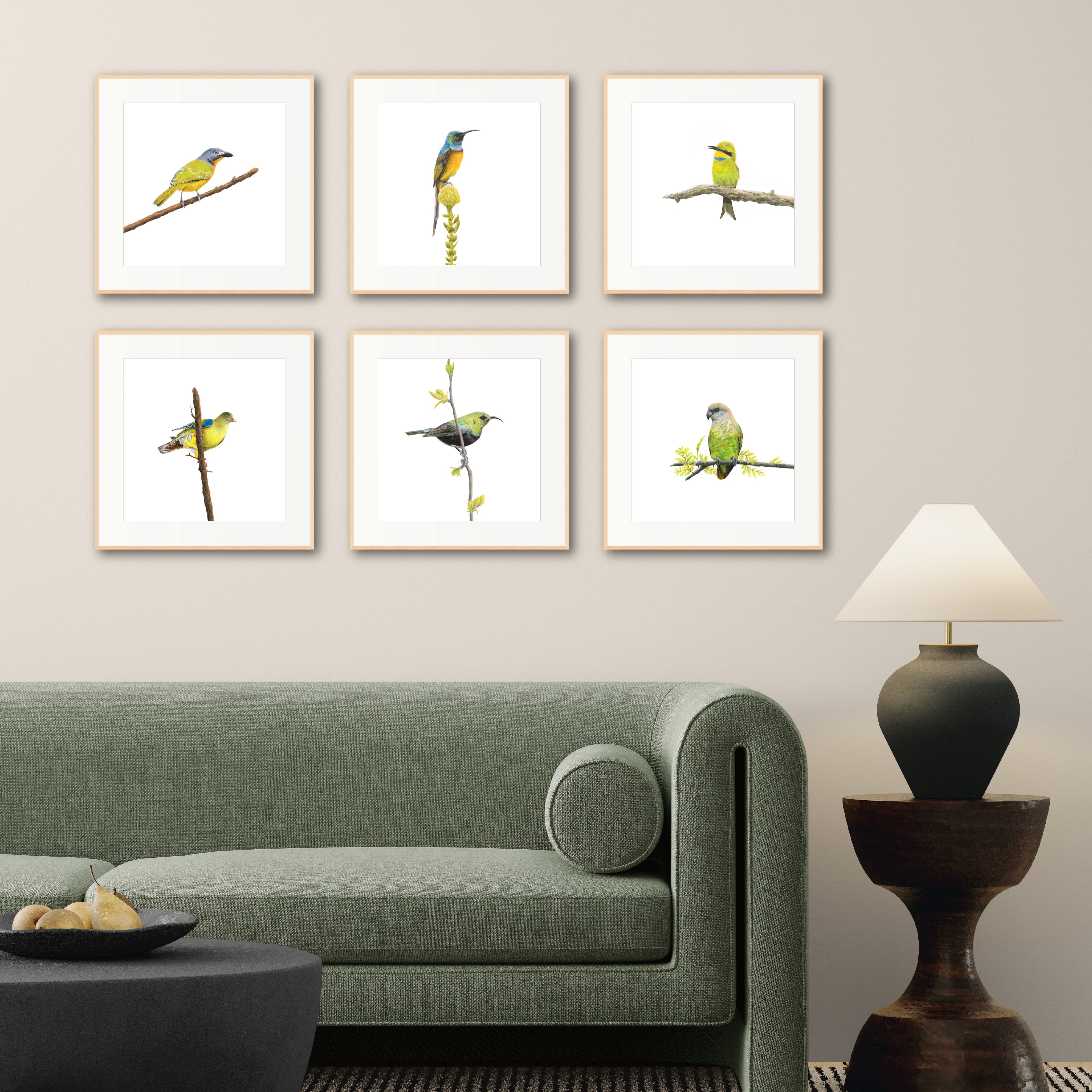 Six pictures hanging on the wall of South African birds, including Grey Headed Bush Shrike, Orange Breasted Sunbird, Swallow Tailed Bee Eater, African Green Pigeon, Marico Sunbird, Brown Headed Parrot