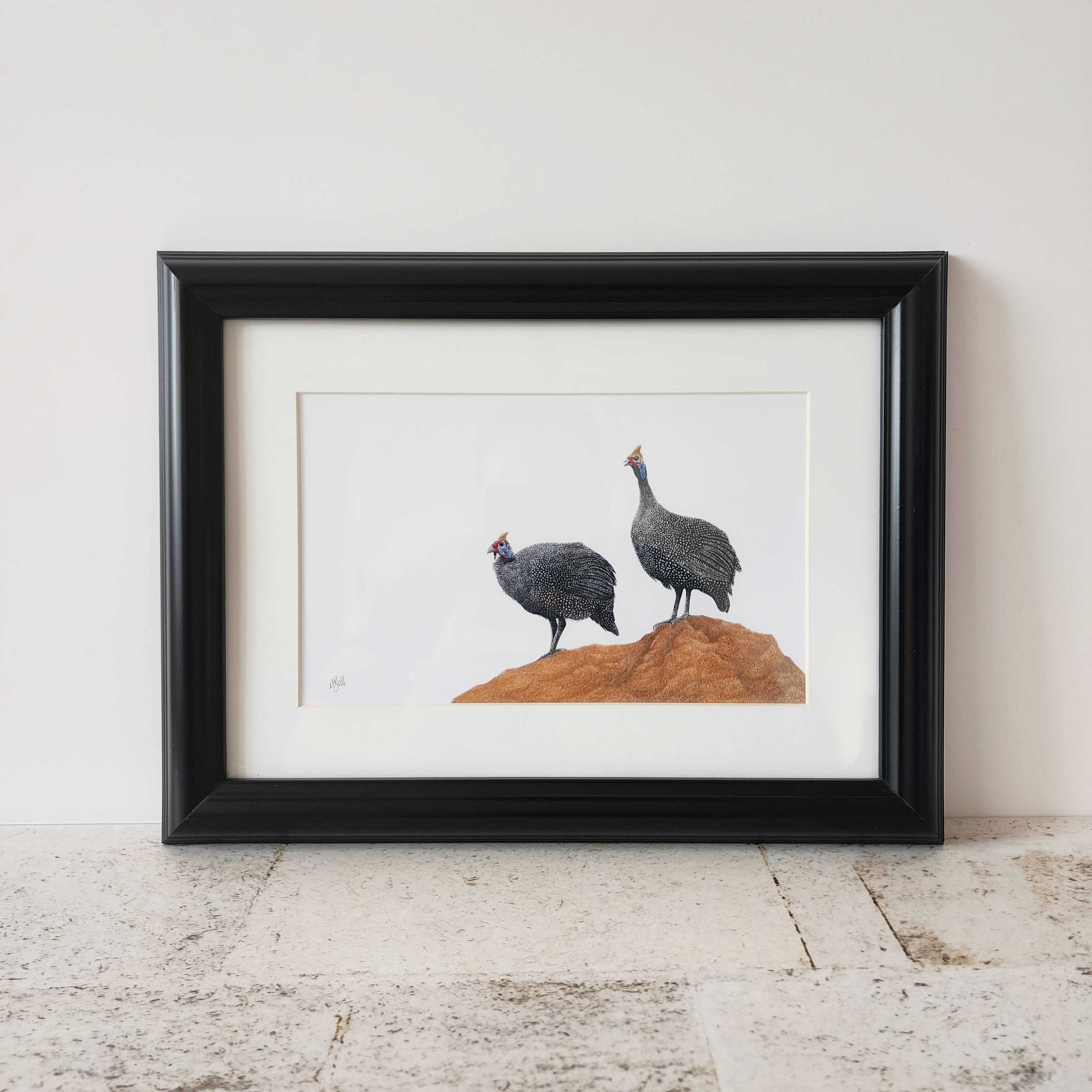 A pair of guinea fowl pencil artwork framed, by South African wildlife nature artist Matthew Bell