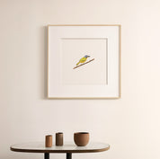 Grey Headed Bush Shrike - The Original