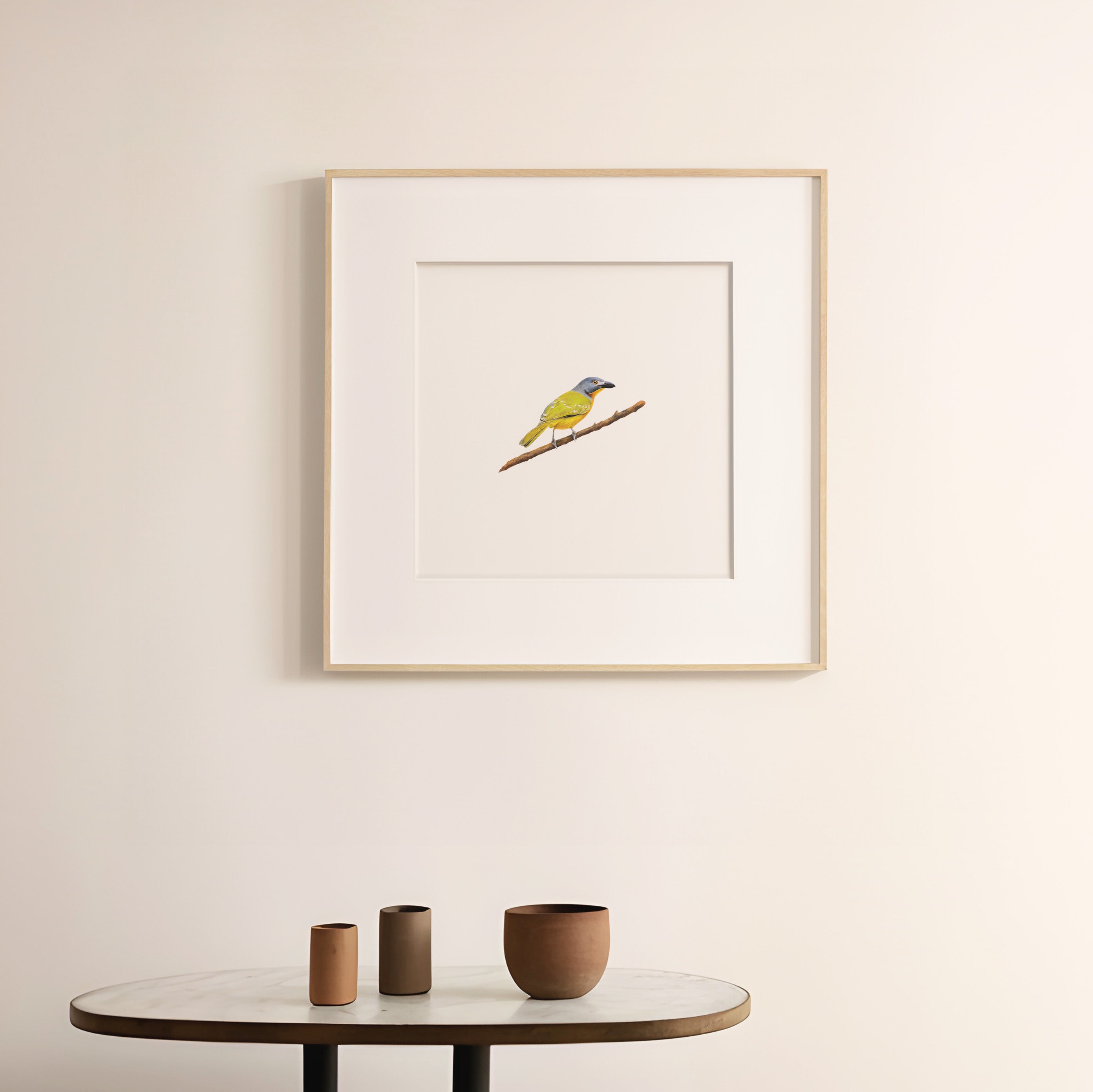 Grey Headed Bush Shrike - The Original