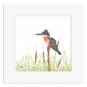 Framed artwork of a giant kingfisher bird perched on a branch with grass and reeds.