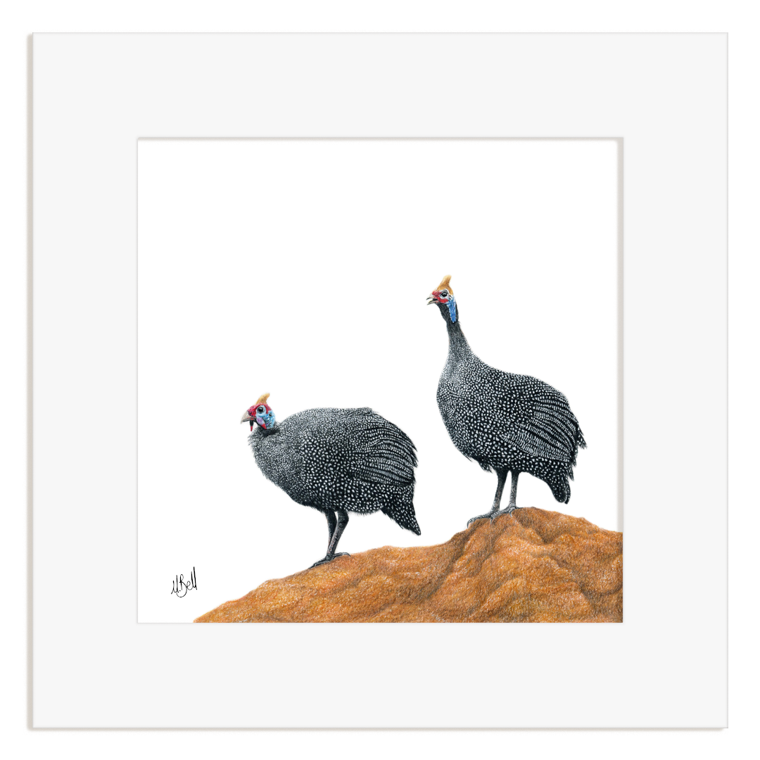 Framed artwork of two guinea fowl on a white background