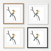 African Hoopoe - HP2