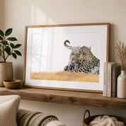 African wildlife leopard print with a kiaat frame by Matthew Bell