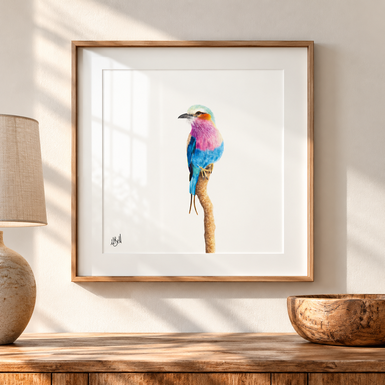 Framed print of a Lilac Breasted Roller