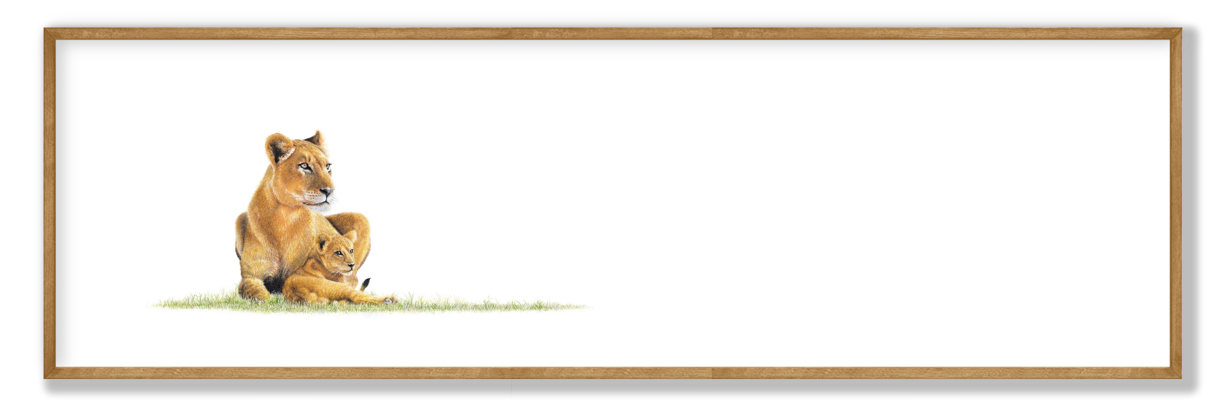 Framed lion panorama print showcasing iconic African wildlife artwork in an elegant ready-to-hang frame.