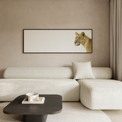 Lioness Panorama