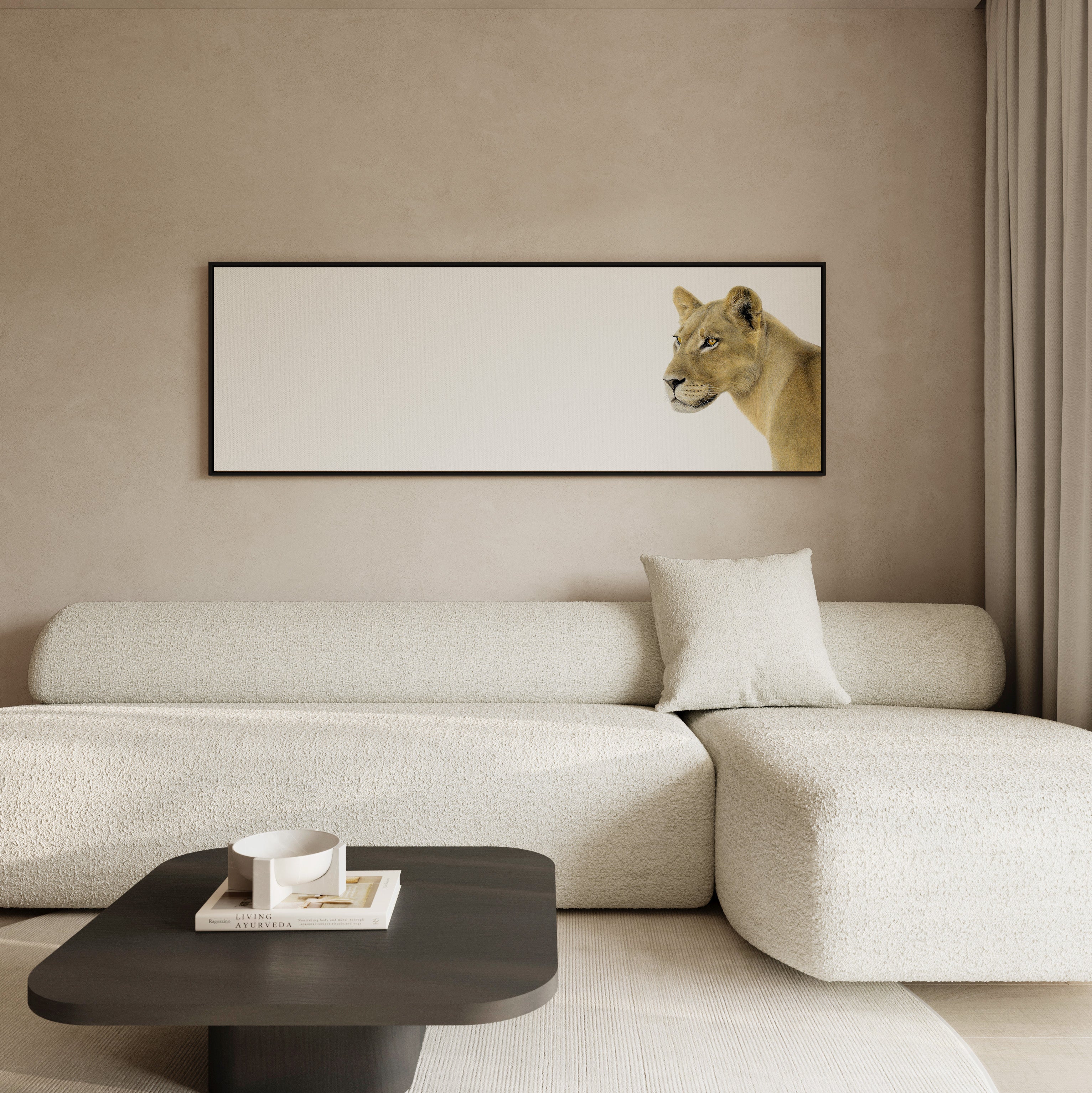 Lioness Panorama