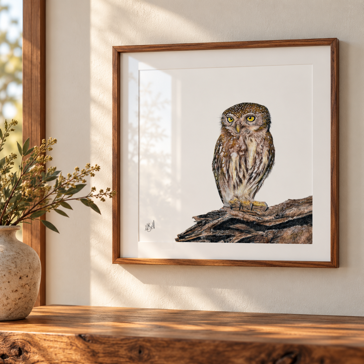 Framed artwork by Matthew Bell of a Pearl Spotted Owlet