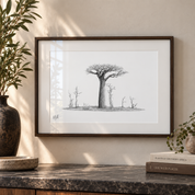 pencil sketch of an african baobab tree by wildlife artist matthew bell