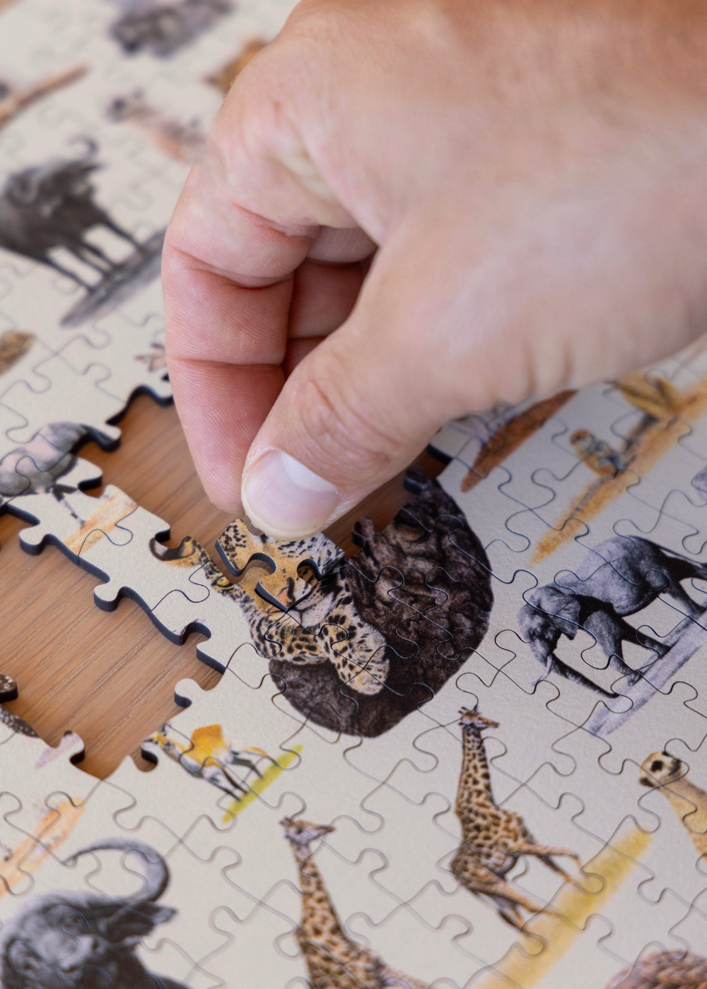 Matthew's South African Wildlife wooden puzzle is a tribute to the abundant variety of animals found in South Africa. It is the sequel to his first puzzle - Birds of South Africa, and features 62 of his original pencil drawings, beautifully arranged to create this luxury wooden puzzle.

Available in A2 size (1000pcs) and A1 size (2000pcs)
Made from 3mm thick wood
62 different animal drawings
Supplied with an A4 reference image
Beautifully made and packaged by MasterPiece Puzzles