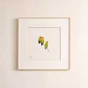 Rosy Faced Lovebirds - The Original