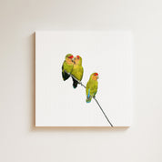 Rosy Faced Lovebirds (RFL) on Canvas