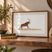 A framed print of a Sable Antelope running by Matthew Bell, standing on a wooden shelf in a warm sunlit room