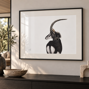 Framed black and white art print of a sable antelope with long curved horns, displayed on a light beige wall above a dark wooden console table with decorative bowls and a plant.