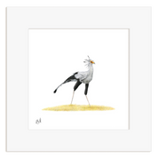 Framed artwork of a secretary bird on a white background