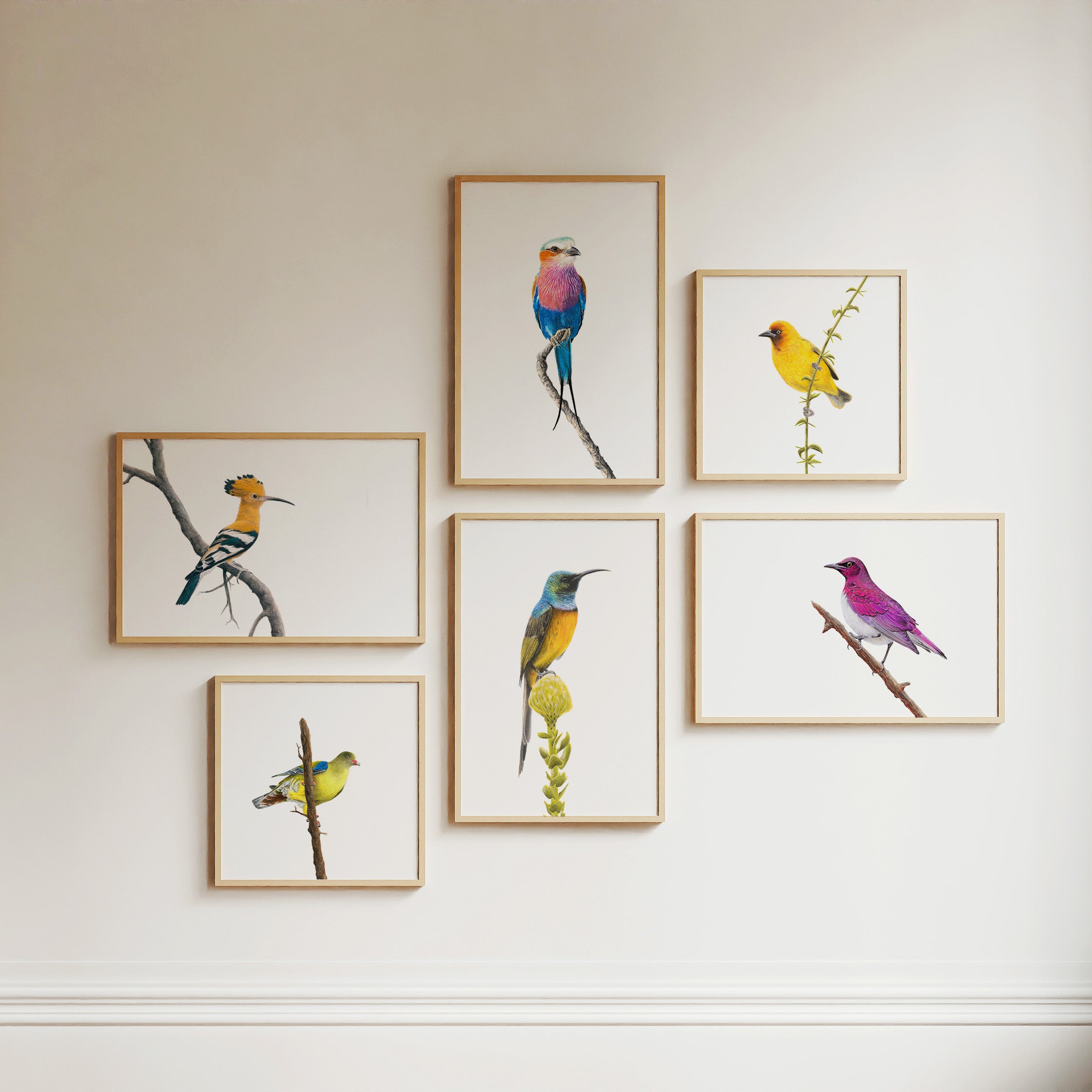 Six natural wood framed prints of South African birds including a Lilac Breasted Roller, Cape Weaver, African Hoopoe, Orange Breasted Sunbird, African Green Pigeon and Violet Backed Starling