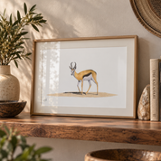 Framed picture of a drawing of a Springbok in the Kalahari by South African wildlife artist Matthew Bell