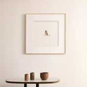 Swee Waxbill - The Original