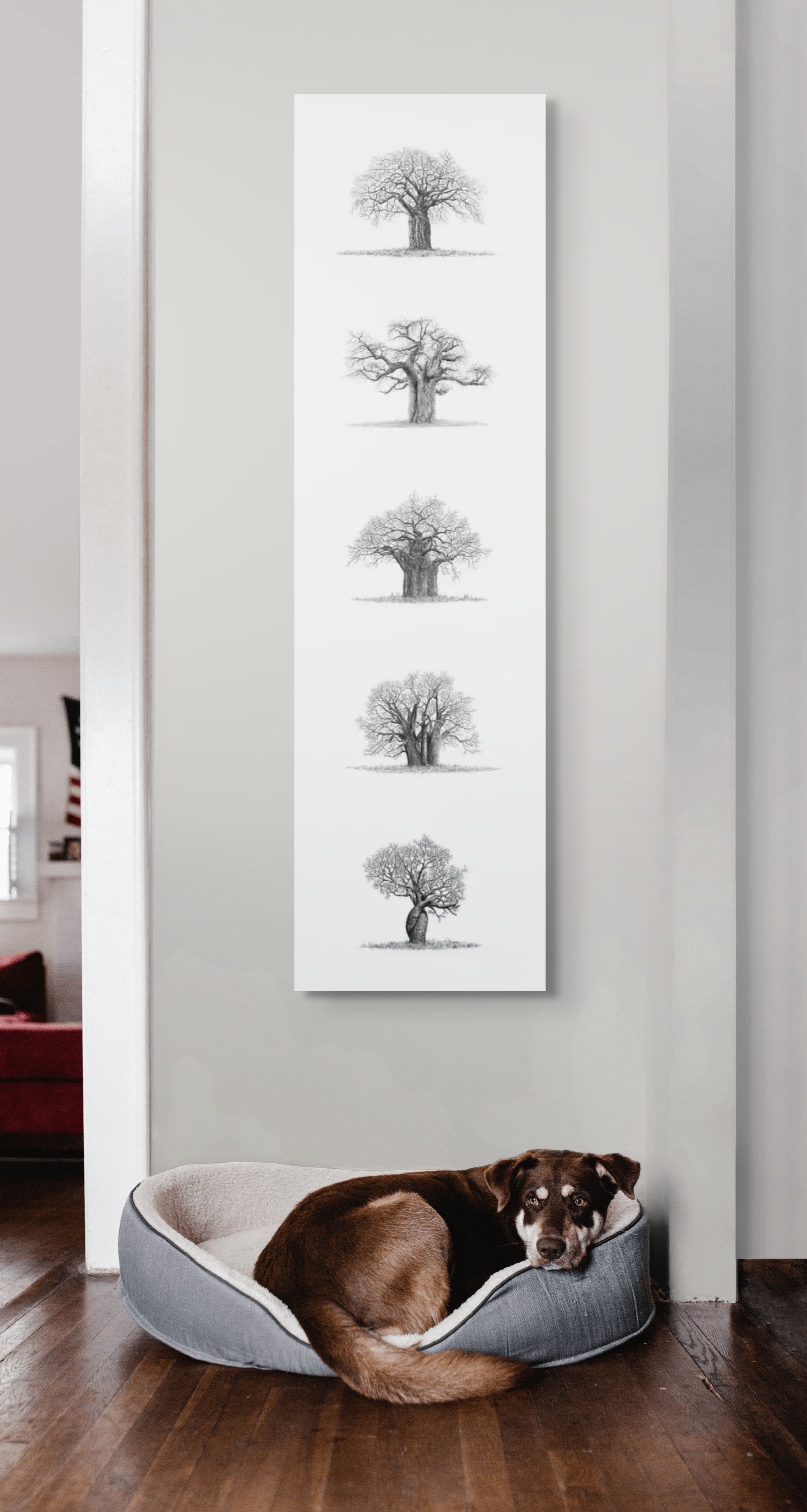 5 Baobab Trees on Canvas - Vertical
