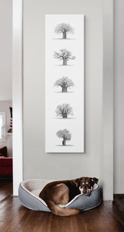 5 Baobab Trees on Canvas - Vertical
