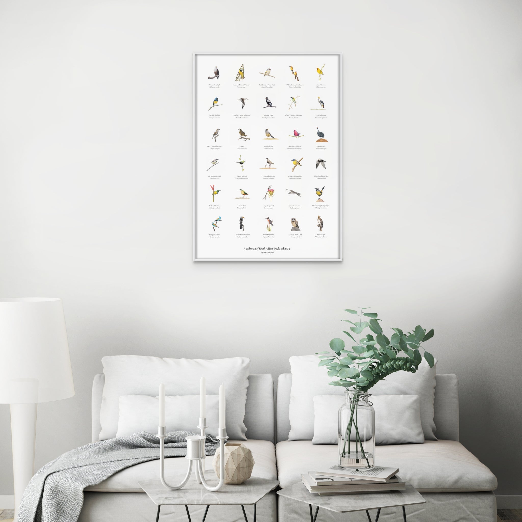 A collection of South African birds artwork volume 2 by wildlife artist Matthew Bell