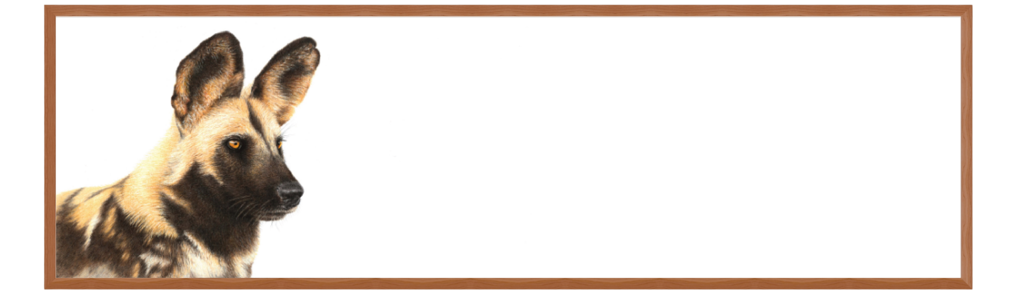 African Wild Dog Panorama