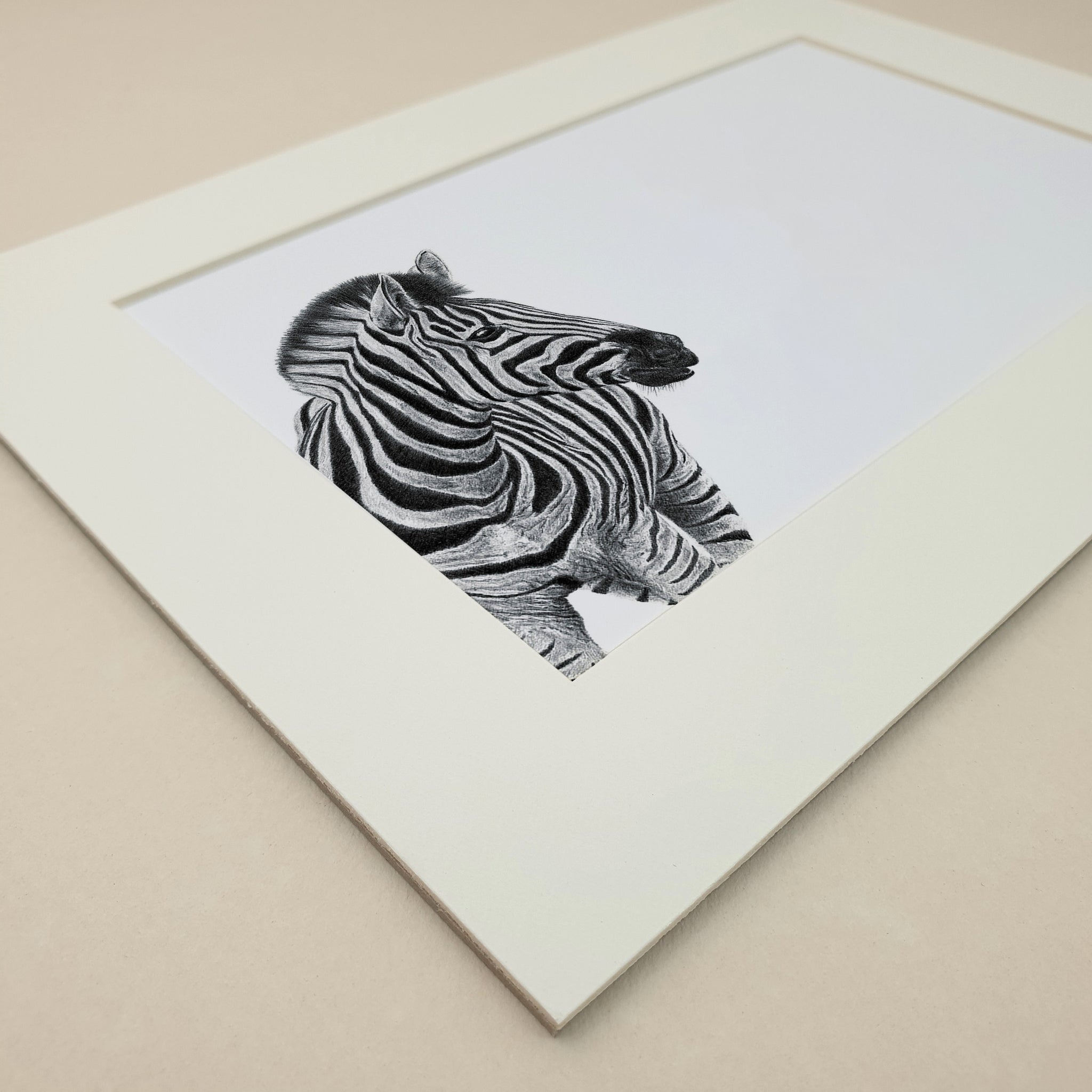 Zebra portrait artwork